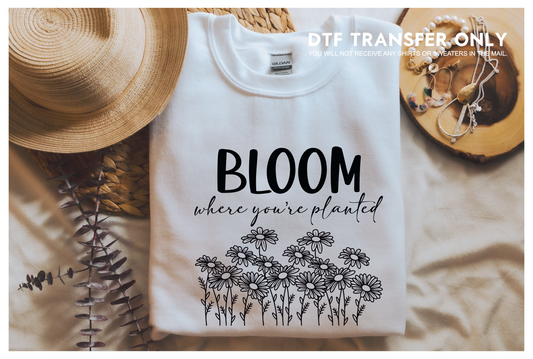 Bloom where you planted - DTF Transfer